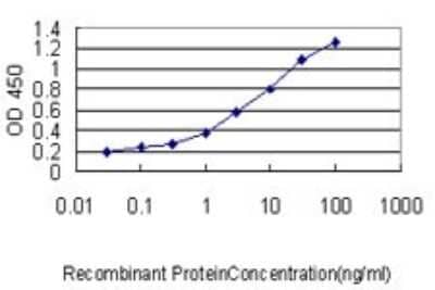 Sandwich ELISA: UBE2R2 Antibody (5E7) [H00054926-M01] - Detection limit for recombinant GST tagged UBE2R2 is approximately 0.1ng/ml as a capture antibody.