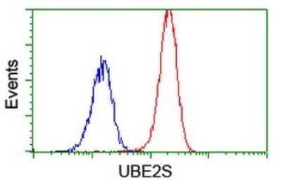 Flow Cytometry: UBE2S Antibody (OTI1B5) - Azide and BSA Free [NBP2-74749] - Analysis of Jurkat cells, using UBE2S antibody,(Red), compared to a nonspecific negative control antibody (Blue).