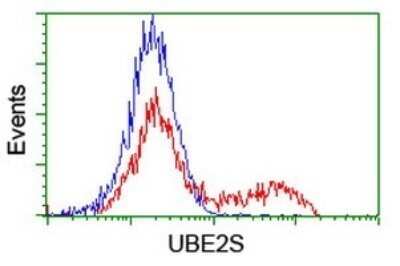 Flow Cytometry: UBE2S Antibody (OTI1B5) - Azide and BSA Free [NBP2-74749] - Analysis of HEK293T cells transfected with either overexpress plasmid(Red) or empty vector control plasmid(Blue) were immunostaining by UBE2S antibody.