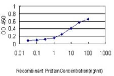 Sandwich ELISA UBTD2 Antibody (1B8-1B1) - Azide and BSA Free