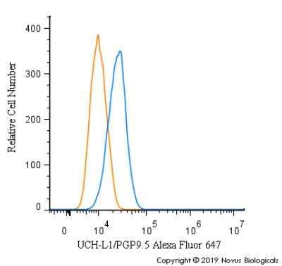 Flow Cytometry: UCH-L1/PGP9.5 Antibody [Alexa Fluor® 647] [NB300-676AF647] - An intracellular stain was performed on U-87 cells with UCH-L1/PGP9.5 Antibody NB300-676AF647 (blue) and a matched isotype control (orange). Cells were fixed with 4% PFA and then permeabilized with 0.1% saponin. Cells were incubated in an antibody dilution of 5 ug/mL for 30 minutes at room temperature. Both antibodies were conjugated to Alexa Fluor 647.