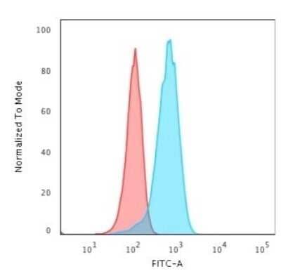 Flow Cytometry: UCH-L1/PGP9.5 Antibody (rUCHL1/775) - Azide and BSA Free [NBP2-75775] - Flow Cytometric Analysis of T98G cells using UCH-L1/PGP9.5 Antibody (rUCHL1/775)followed by Goat anti-Mouse IgG-CF488 (Blue); Isotype Control (Red).