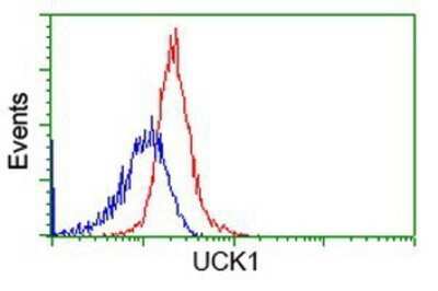 Flow Cytometry: UCK Antibody (OTI1A12) - Azide and BSA Free [NBP2-74779] - Analysis of Hela cells, using anti-UCK antibody, (Red), compared to a nonspecific negative control antibody (Blue).