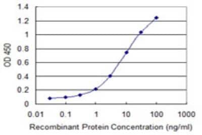 Sandwich ELISA: UGT1A10 Antibody (2D3) [H00054575-M02] - Detection limit for recombinant GST tagged UGT1A10 is 0.1 ng/ml as a capture antibody.