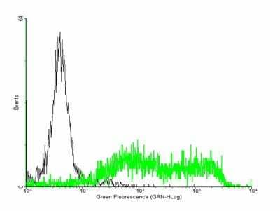 Flow Cytometry: ULBP-2 Antibody [H00080328-B01P] - Analysis of negative control 293 cells (Black) and ULBP2 expressing 293 cells (Green) using ULBP2 purified mouse polyclonal antibody.