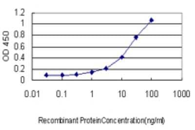Sandwich ELISA: UNC5H2/UNC5B Antibody (1A9) [H00219699-M01] - Detection limit for recombinant GST tagged UNC5B is approximately 1ng/ml as a capture antibody.