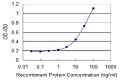 Sandwich ELISA: UQCR10 Antibody (2B5) [H00029796-M07] - Detection limit for recombinant GST tagged UCRC is 0.3 ng/ml as a capture antibody.