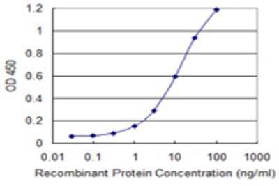 Sandwich ELISA: UQCRH Antibody (1D7) [H00007388-M02] - Detection limit for recombinant GST tagged UQCRH is 0.1 ng/ml as a capture antibody.