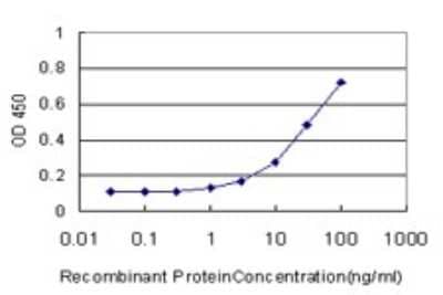 Sandwich ELISA: UROS Antibody (1E11-B11) [H00007390-M01] - Detection limit for recombinant GST tagged UROS is approximately 1ng/ml as a capture antibody.