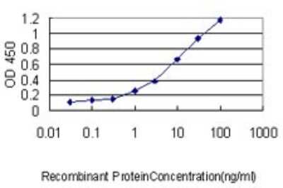 ELISA: USF1 Antibody (3F6) [H00007391-M01] - Detection limit for recombinant GST tagged USF1 is approximately 0.03ng/ml as a capture antibody.