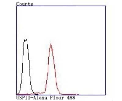 Flow Cytometry: USP11 Antibody (JM33-62) [NBP2-66771] - Analysis of Jurkat cells with USP11 antibody at 1/100 dilution (red) compared with an unlabelled control (cells without incubation with primary antibody; black).