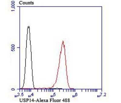 Flow Cytometry: USP14 Antibody (JU30-49) [NBP2-75700] - Analysis of Jurkat cells with USP14 antibody at 1/100 dilution (red) compared with an unlabelled control (cells without incubation with primary antibody; black). Alexa Fluor 488-conjugated goat anti rabbit IgG was used as the secondary antibody.