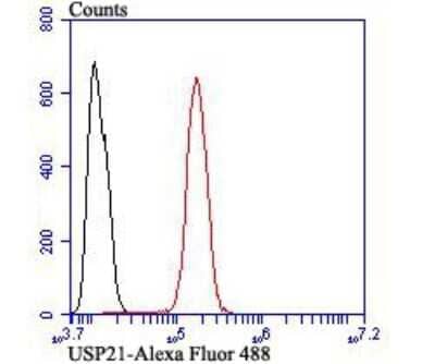 Flow Cytometry: USP21 Antibody [NBP2-75701] - Analysis of SH-SY-5Y cells with USP21 antibody at 1/100 dilution (red) compared with an unlabelled control (cells without incubation with primary antibody; black). Alexa Fluor 488-conjugated goat anti-rabbit IgG was used as the secondary antibody.