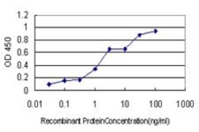 Sandwich ELISA: USP33 Antibody (5B5) [H00023032-M01] - Detection limit for recombinant GST tagged USP33 is approximately 0.1ng/ml as a capture antibody.