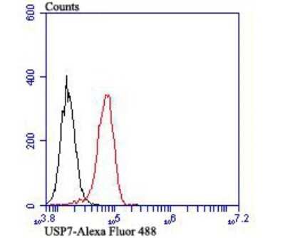 Flow Cytometry: USP7 Antibody (JB80-36) [NBP2-75703] - Analysis of PC-3M cells with USP7 antibody at 1/100 dilution (red) compared with an unlabelled control (cells without incubation with primary antibody; black). Alexa Fluor 488-conjugated goat anti-rabbit IgG was used as the secondary antibody.
