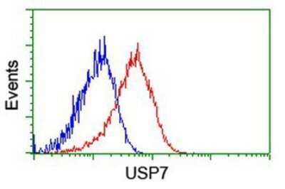 Flow Cytometry: USP7 Antibody (OTI1F12) - Azide and BSA Free [NBP2-74814] - Analysis of Hela cells, using anti-USP7 antibody, (Red), compared to a nonspecific negative control antibody (Blue).