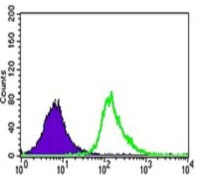 Flow Cytometry: UTF1 Antibody (5B6) [NBP2-37444] - Flow cytometric analysis of K562 cells using UTF1 mouse mAb (green) and negative control (purple).