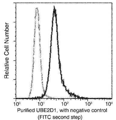 Flow Cytometry: UbcH5a/UBE2D1 Antibody (07) [NBP3-06652] - Flow cytometric analysis of Human UBE2D1 expression on A431 cells. Cells were stained with purified anti-Human UBE2D1, then a FITC-conjugated second step antibody. The fluorescence histograms were derived from gated events with the forward and side light-scatter characteristics of intact cells.