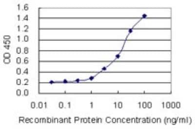 Sandwich ELISA: Ubiquitin-activating Enzyme/UBE1 Antibody (2B6) [H00007317-M02] - Detection limit for recombinant GST tagged UBA1 is 0.3 ng/ml as a capture antibody.