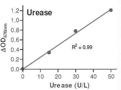 Urease Assay Kit (Colorimetric) [KA1623] - Standard Curve Reference
