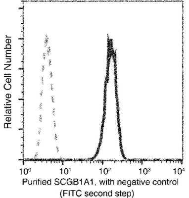 Flow Cytometry: Uteroglobin/SCGB1A1 Antibody (135) [NBP2-89650] -  Analysis of Human SCGB1A1 expression on A549 cells. The cells were treated,  stained with purified anti-Human SCGB1A1, then a FITC-conjugated second step antibody. The fluorescence histograms were derived from gated events with the forward and side light-scatter characteristics of intact cells.