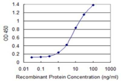 Sandwich ELISA: VAMP-5 Antibody (3D4) [H00010791-M05] - Detection limit for recombinant GST tagged VAMP5 is 0.1 ng/ml as a capture antibody.