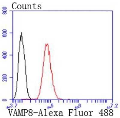 Flow Cytometry: VAMP-8 Antibody (JF0963) [NBP2-66777] - Analysis of Hela cells with VAMP8 antibody at 1/50 dilution (red) compared with an unlabelled control (cells without incubation with primary antibody; black). Alexa Fluor 488-conjugated goat anti rabbit IgG was used as the secondary antibody.