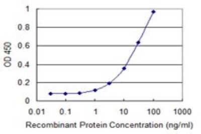 Sandwich ELISA: VAP-1/AOC3 Antibody (4B8) [H00008639-M06] - Detection limit for recombinant GST tagged AOC3 is 0.3 ng/ml as a capture antibody.