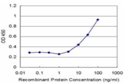 Sandwich ELISA: VAP-B Antibody (1A2) [H00009217-M10] - Detection limit for recombinant GST tagged VAPB is approximately 3ng/ml as a capture antibody.