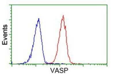 Flow Cytometry: VASP Antibody (OTI4D6) - Azide and BSA Free [NBP2-74830] - Analysis of Hela cells, using anti-VASP antibody, (Red), compared to a nonspecific negative control antibody (Blue).