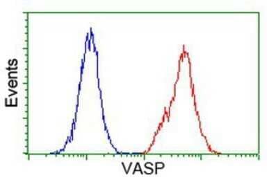 Flow Cytometry: VASP Antibody (OTI4D6) - Azide and BSA Free [NBP2-74830] - Analysis of Jurkat cells, using anti-VASP antibody, (Red), compared to a nonspecific negative control antibody (Blue).