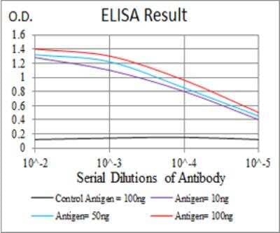 ELISA: VAV2 Antibody (3F5D3) [NBP2-52583] - Black line: Control Antigen (100 ng); Purple line: Antigen(10ng); Blue line: Antigen (50 ng); Red line: Antigen (100 ng).