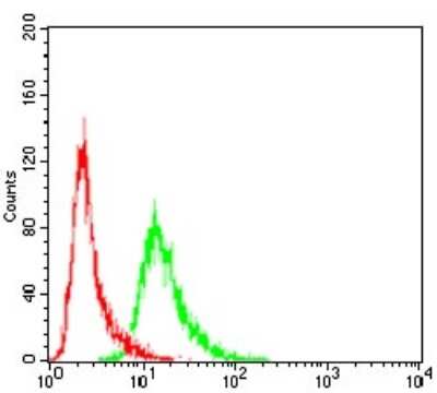 Flow Cytometry: VAV2 Antibody (3F5D3) [NBP2-52583] - Analysis of Hela cells using VAV2 mouse mAb (green) and negative control (red).