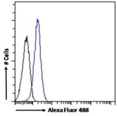 Flow Cytometry VAV3 Antibody