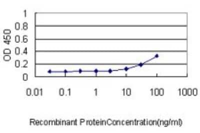 Sandwich ELISA: VBP1 Antibody (3D11) [H00007411-M01] - Detection limit for recombinant GST tagged VBP1 is approximately 1ng/ml as a capture antibody.