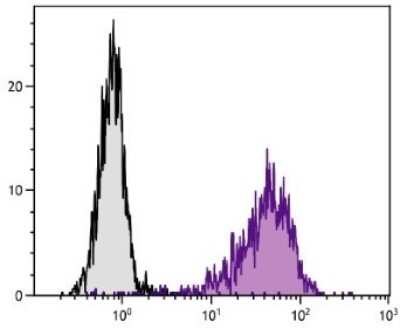 Flow Cytometry: VCAM-1/CD106 Antibody (1.G11B1) [PE] [NBP1-28407] - Analysis of TNF alpha stimulated endothelial cell line HUV-EC-C.