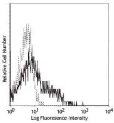 Flow Cytometry: VCAM-1/CD106 Antibody (429) [NB100-77474] - Analysis using the FITC conjugate of NB100-77474. Staining of C57BL/6 bone marrow myeloid cells.