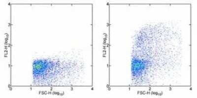 Flow Cytometry: VCAM-1/CD106 Antibody (MR106) [NBP1-43368] - Analysis using the Biotin conjugate of NBP1-43368. Staining of rat bone marrow cells with 0.125 ug of Mouse IgG1 kappa Isotype Control Biotin (left) or 0.125 ug of Anti-Rat CD106 (VCAM-1) Biotin (right) followed by Streptavidin PE.