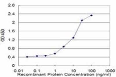 ELISA: VDAC1 Antibody (4C4) [H00007416-M05] - Detection limit for recombinant GST tagged VDAC1 is approximately 1ng/ml as a capture antibody.