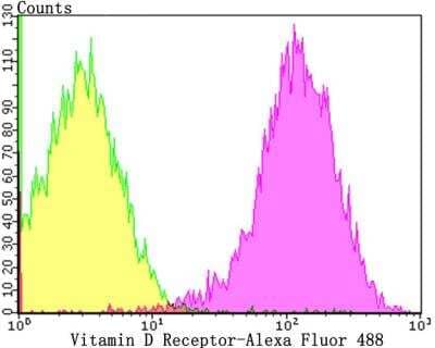 Flow Cytometry: VDR/NR1I1/Vitamin D Receptor Antibody [NBP3-09079] - Flow cytometric analysis of LOVO cells with Vitamin D Receptor antibody at 1/50 dilution (purple) compared with an unlabelled control (cells without incubation with primary antibody; yellow). Alexa Fluor 488-conjugated goat anti-rabbit IgG was used as the secondary antibody.