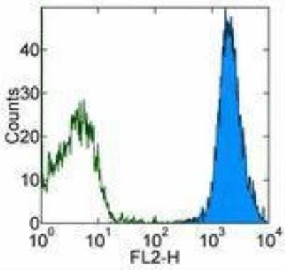 Flow Cytometry: VE-Cadherin Antibody (16B1) [NBP2-00342] - Analysis using the PE conjugate of NBP2-00342.