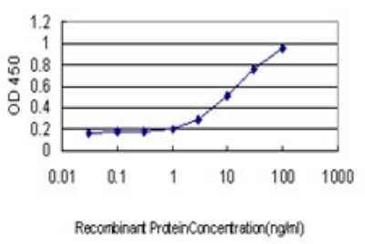 Sandwich ELISA: VE-Statin/EGFL7 Antibody (2H6) [H00051162-M01] - Detection limit for recombinant GST tagged EGFL7 is approximately 0.03ng/ml as a capture antibody.