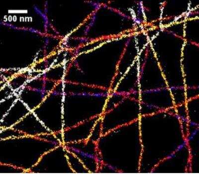 Immunofluorescence: VECTASHIELD(R) Antifade Mounting Medium [H-1000-NB] - 3D STORM imaging of Alexa Fluor 647 stained microtubules in a VECTASHIELD Mounting Medium/TRIS-Glycerol mixture. (Image kindly supplied by Dr. Nicolas Olivier, King's College, London UK.)