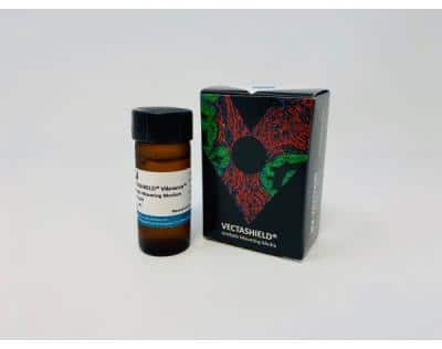 VECTASHIELD® Vibrance(TM) Antifade Mounting Medium with DAPI [H-1800-10-NB]