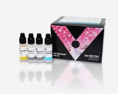 VECTASTAIN(R) ABC anti-Rabbit IgG AP Immunodetection Kit [AK-5001-NB]