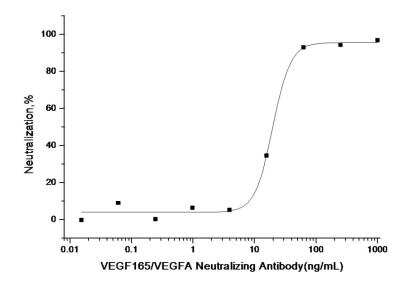 Neutralization: VEGF 165 Antibody (R010) [NBP2-89778] - Measured in a cell proliferation assay using human umbilical vein endothelial cells (HUVEC). The ED50 for this effect is typically 10-47 ng/mL in the presence of 10 ng/mL human VEGF165.