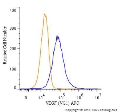 An intracellular stain was performed on U-87 cells with VEGF [VG1] Antibody NB100-664APC (blue) and a matched isotype control (orange). Cells were fixed with 4% PFA and then permeabilized with 0.1% saponin. Cells were incubated in an antibody dilution of 2.5 ug/mL for 30 minutes at room temperature. Both antibodies were conjugated to Allophycocyanin.