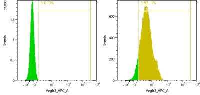 Flow Cytometry: VEGF R2/KDR/Flk-1 Antibody (EIC) [Allophycocyanin] [NB200-208APC] - HUVECs were unstained (left) or stained (right) with VEGFR-2/KDR.  Image from verified customer review.
