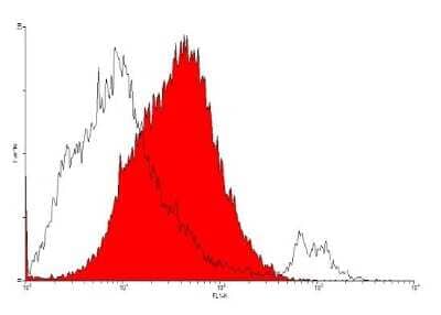 Flow Cytometry: VEGFR1/Flt-1 Antibody (EWF) [NB600-1006] - analysis with porcine aortic endothelial cells expressing human VEGFR-1/Flt-1.