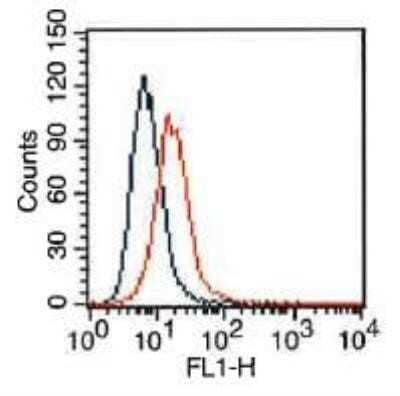 Flow Cytometry: VEGFR2/KDR/Flk-1 Antibody (1B6) - Azide and BSA Free [NBP2-81008] - HepG2 cells were stained (surface) with VEGF R2/KDR/Flk-1 antibody (clone: 2B5.1B6, orange) or isotype control (mouse IgG1, blue) and positive staining observed using FITC conjugated mouse anti-IgG(H+L) secondary antibody. Live cells (PPI negative) were gated for analysis Image from the standard format of this antibody.